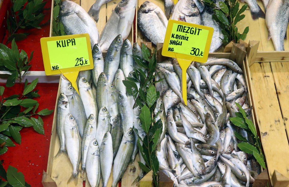 Avlanma yasağı getirilen hamsinin kilosu 40 liraya yükseldi