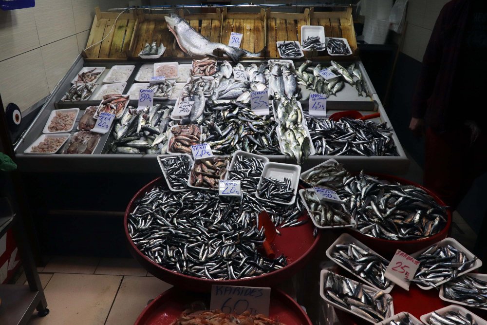 Avlanma yasağı getirilen hamsinin kilosu 40 liraya yükseldi