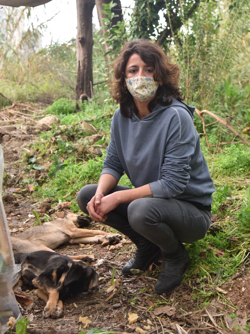 Hayvanseverlerin beslediği 12 yavru köpekten 2'si zehirlendi, 4'ü kayıp