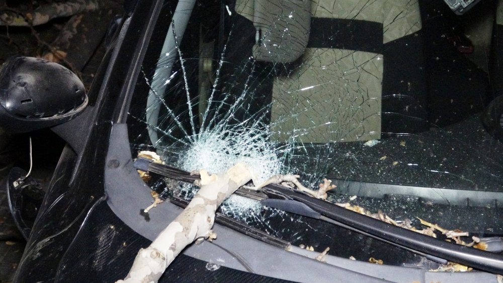 Lodos etkisini artırdı, 60 yıllık çınar ağacı 2 otomobilin üzerine devrildi