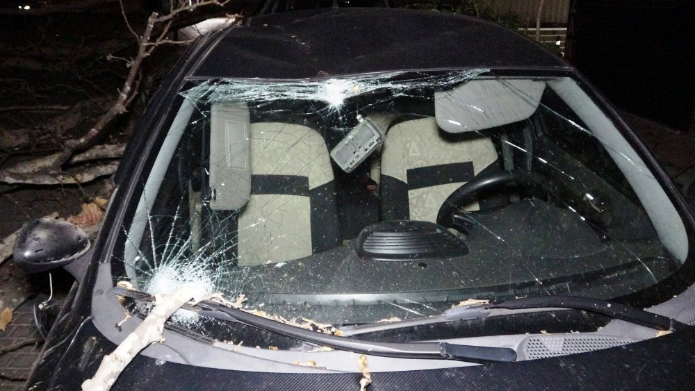 Lodos etkisini artırdı, 60 yıllık çınar ağacı 2 otomobilin üzerine devrildi
