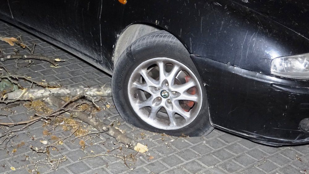 Lodos etkisini artırdı, 60 yıllık çınar ağacı 2 otomobilin üzerine devrildi