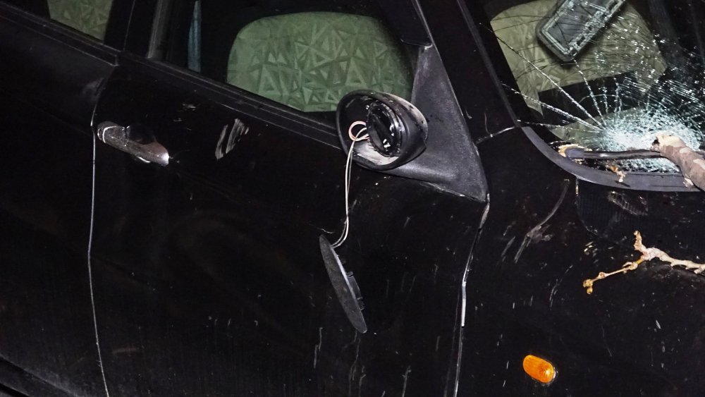 Lodos etkisini artırdı, 60 yıllık çınar ağacı 2 otomobilin üzerine devrildi
