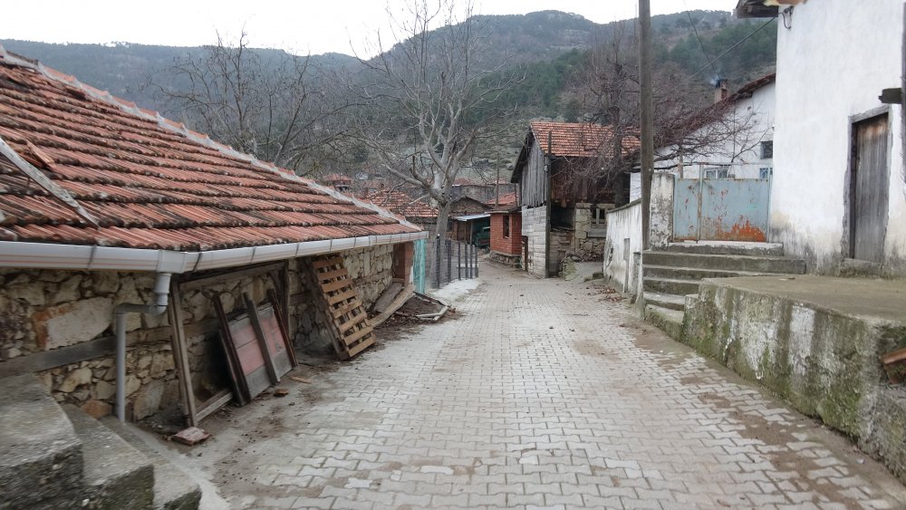 Tedbirlerin sıkı uygulandığı mahallede koronavirüse rastlanmadı