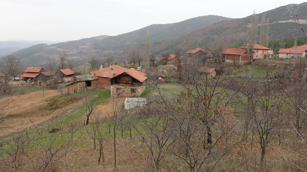 Tedbirlerin sıkı uygulandığı mahallede koronavirüse rastlanmadı