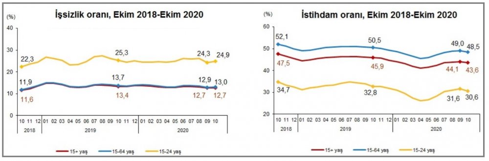 TÜİK - İşsizlik yüzde 12.7'ye, istihdam yüzde 43.6'ya geriledi diye açıklama yaptı