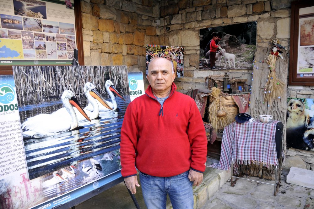 Yunusların avlanması önerisine Kuşadası’ndan tepki