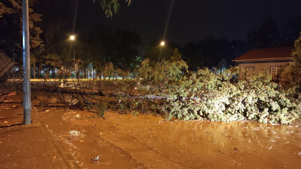 Osmaniye'de sağanak ve fırtına çatıları uçurdu, ağaçları devirdi VALİLİK UYARI YAPTI