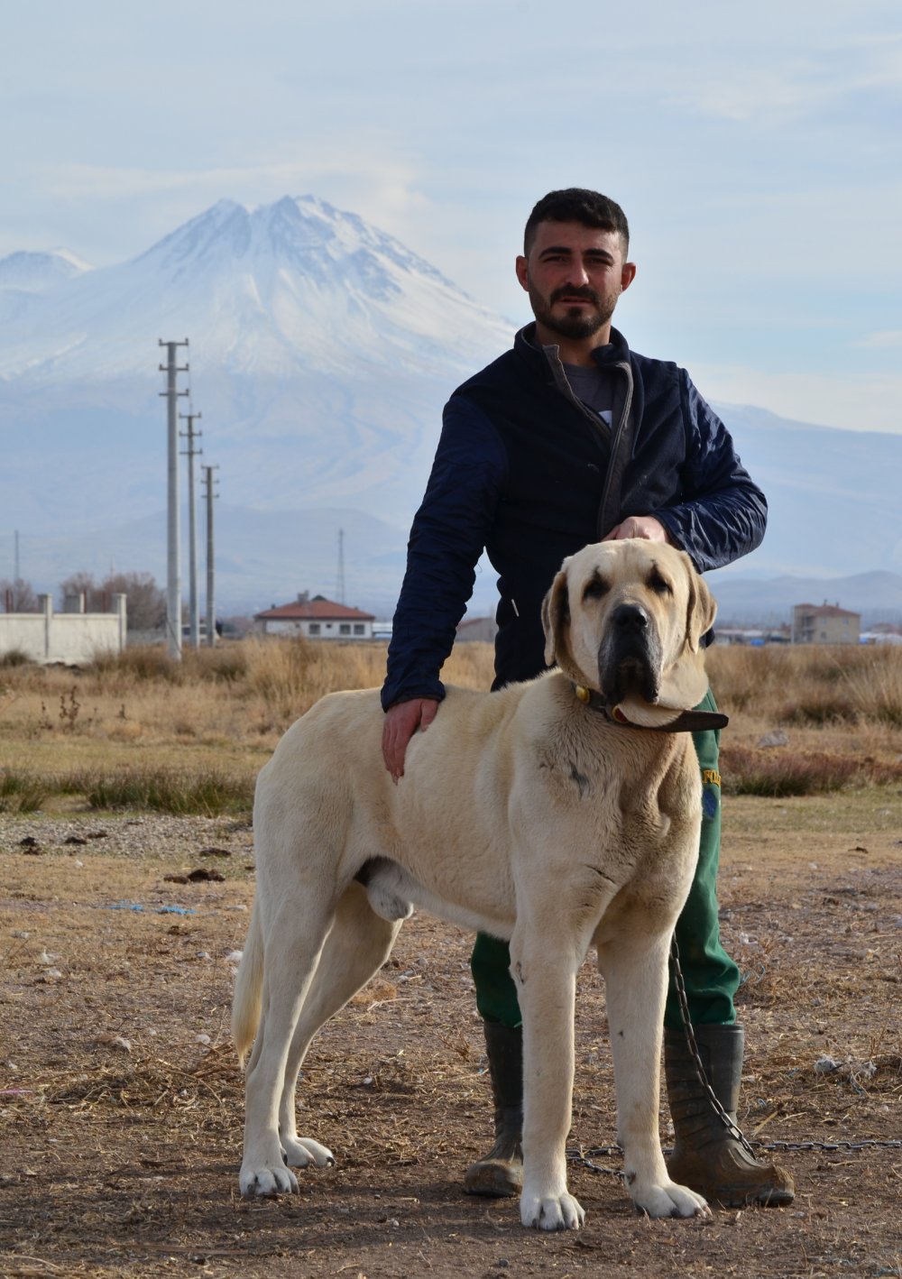 'Aksaray malaklısı' almak isteyenlere, 6 ay sonra için gün veriliyor