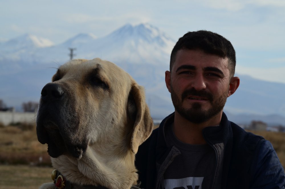 'Aksaray malaklısı' almak isteyenlere, 6 ay sonra için gün veriliyor