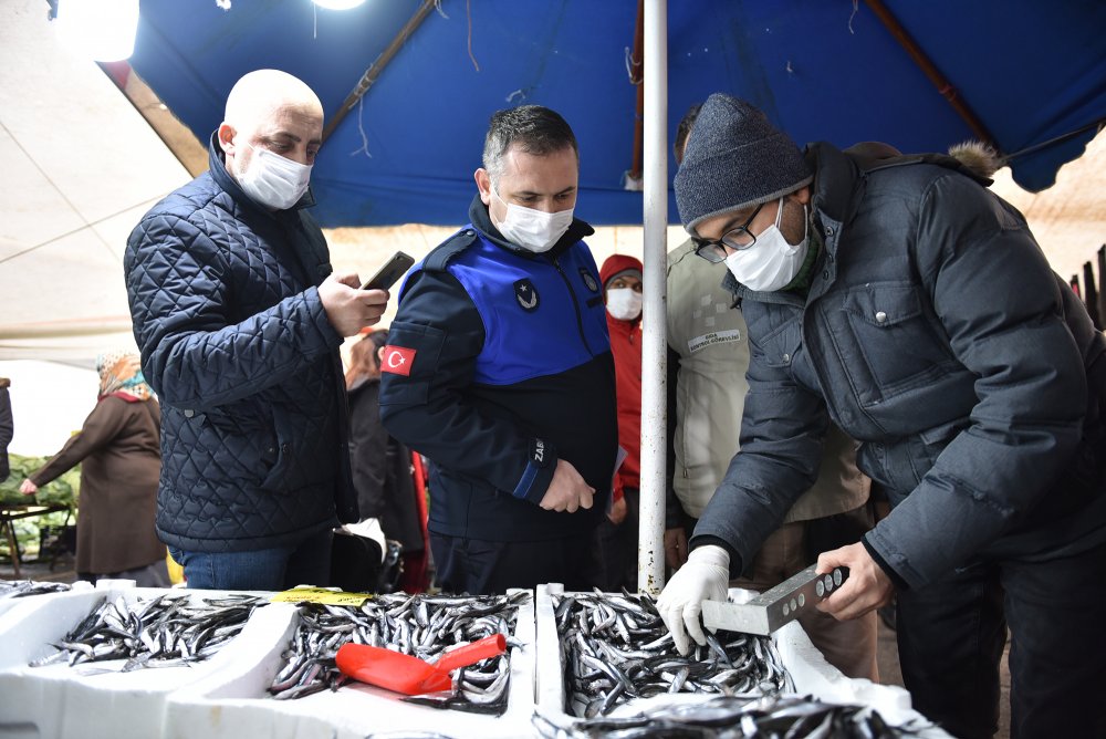 Tuzla’da balık tezgahlarına hamsi boyu denetimi