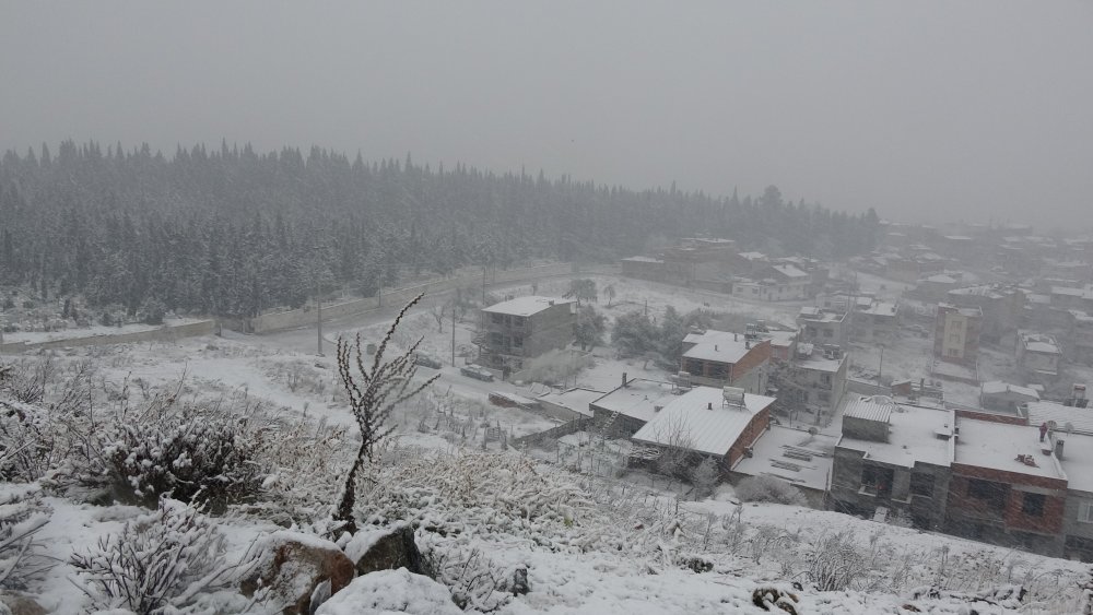 Balıkesir'de yollar kardan  kapandı, sokak hayvanları ile ihtiyaç sahipleri unutulmadı