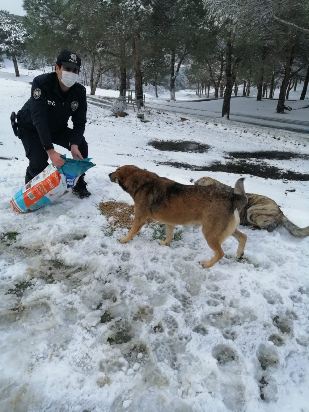 Sultangazi'de polis sokak hayvanlarını besledi