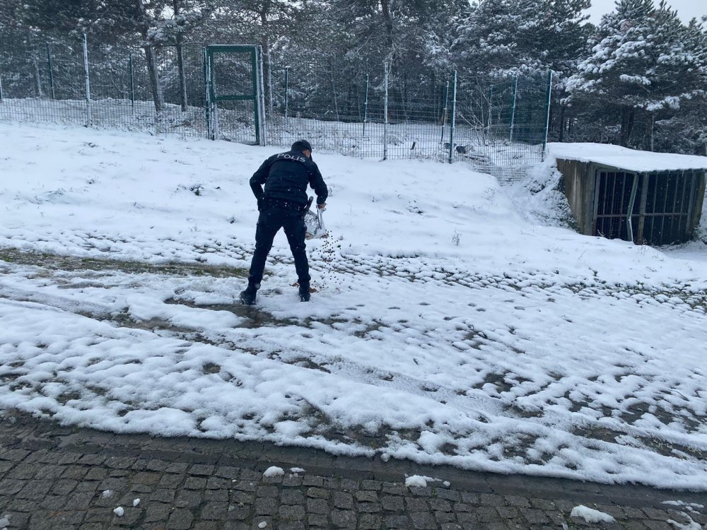 Sultangazi'de polis sokak hayvanlarını besledi