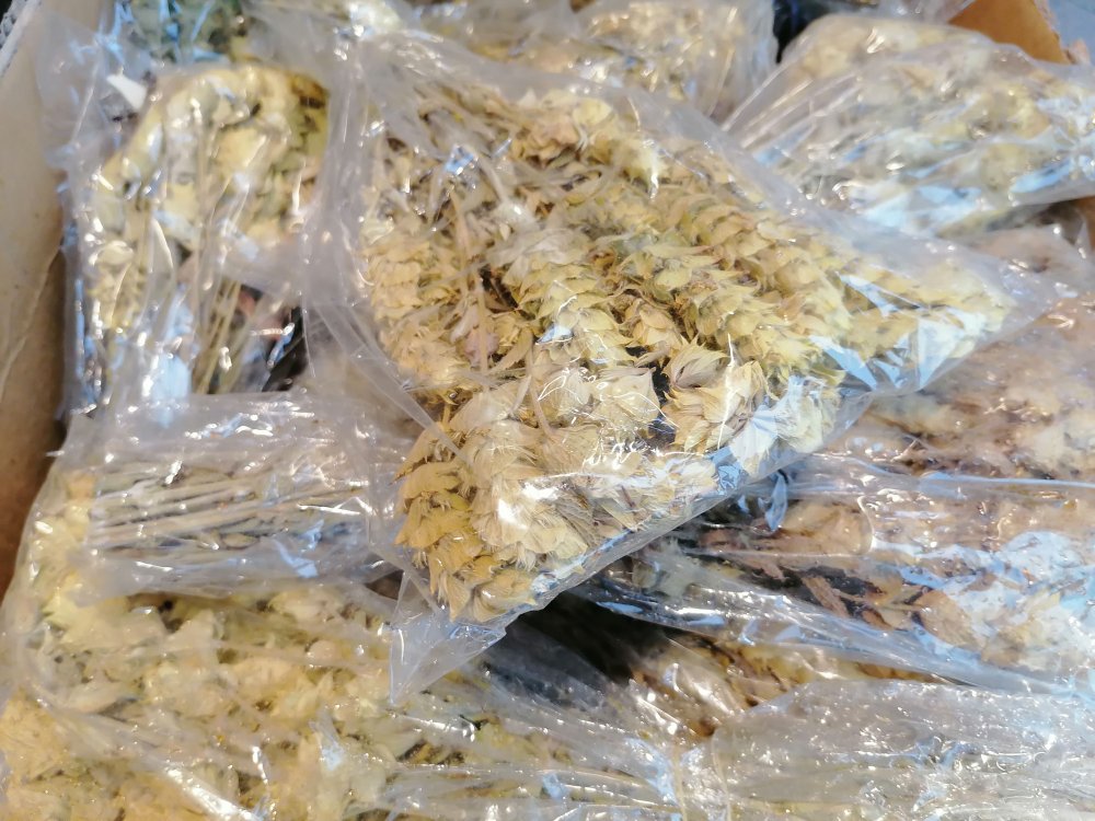 Koronavirüse karşı 'adaçayı' satışında artış