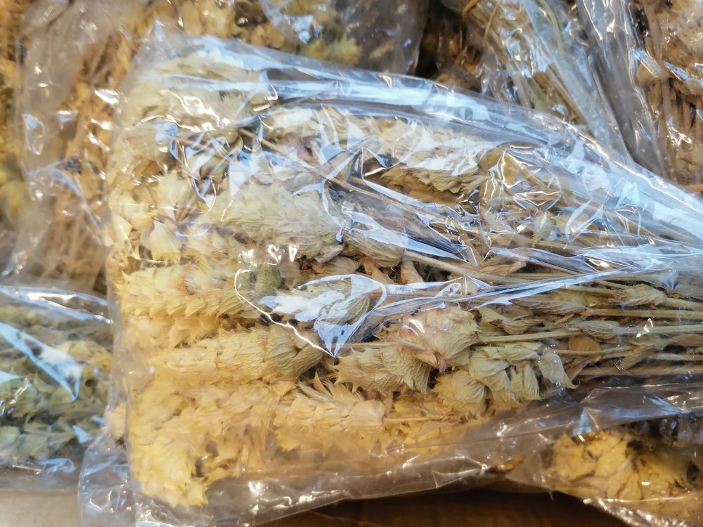 Koronavirüse karşı 'adaçayı' satışında artış