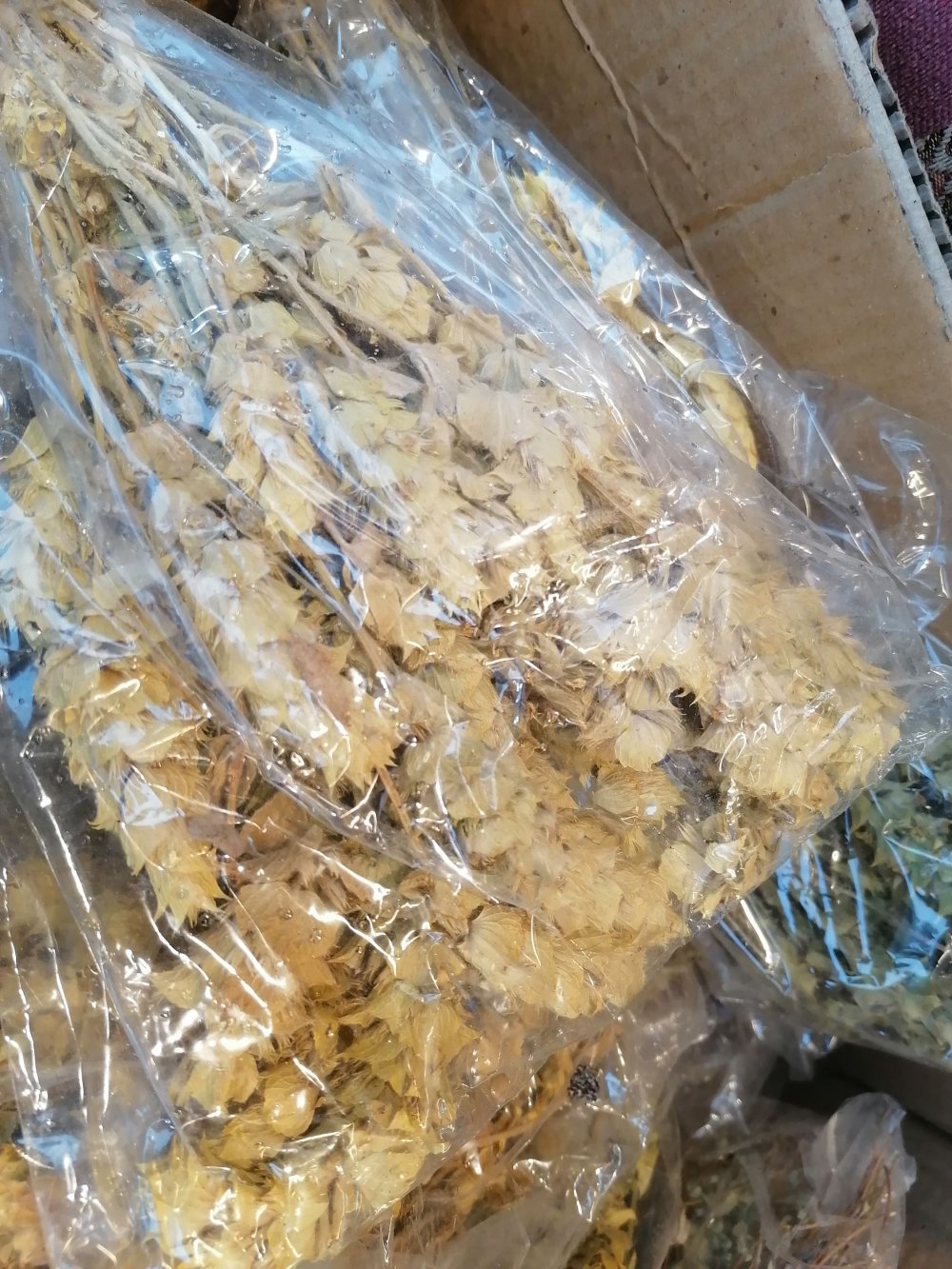 Koronavirüse karşı 'adaçayı' satışında artış