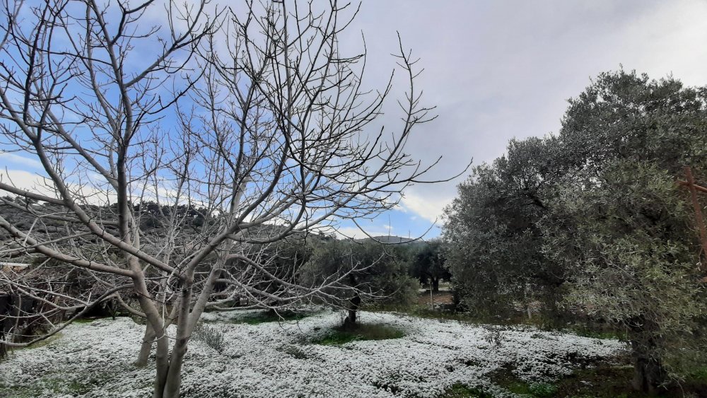Kuşadası'na 6 yıl sonra kar yağdı