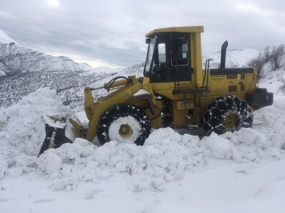 Şırnak'ta 17 köy ve 5 mezra yolu kardan kapandı