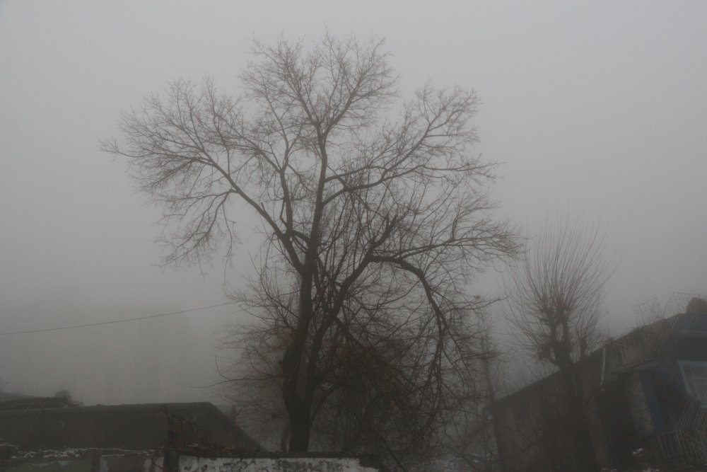 Şırnak'ta 17 köy ve 5 mezra yolu kardan kapandı