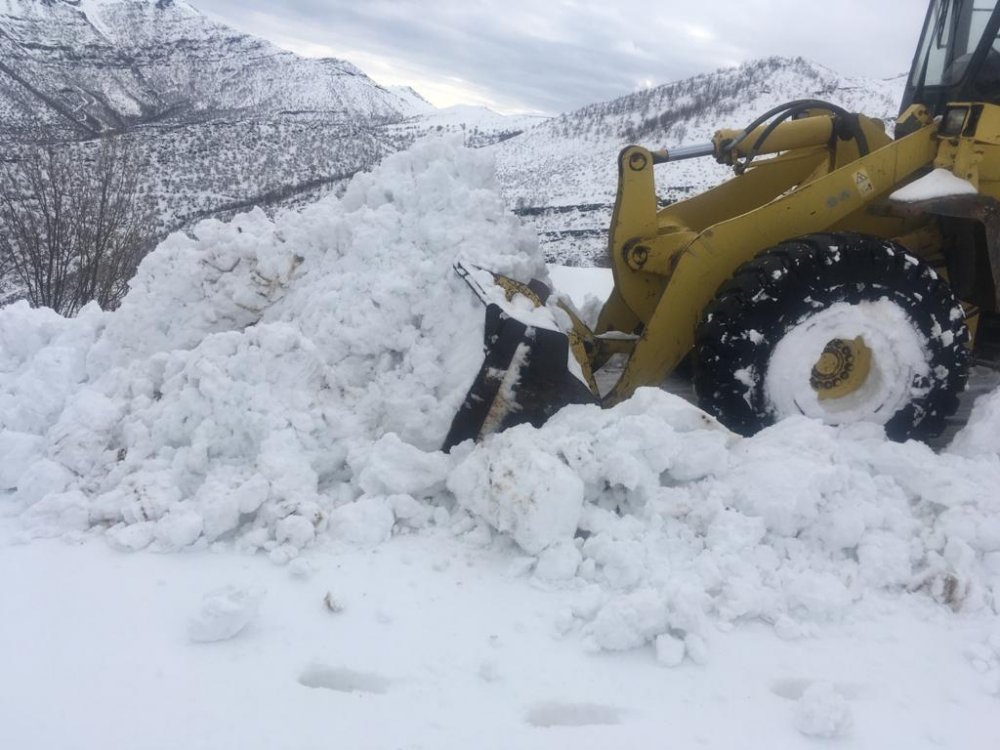 Şırnak'ta 17 köy ve 5 mezra yolu kardan kapandı