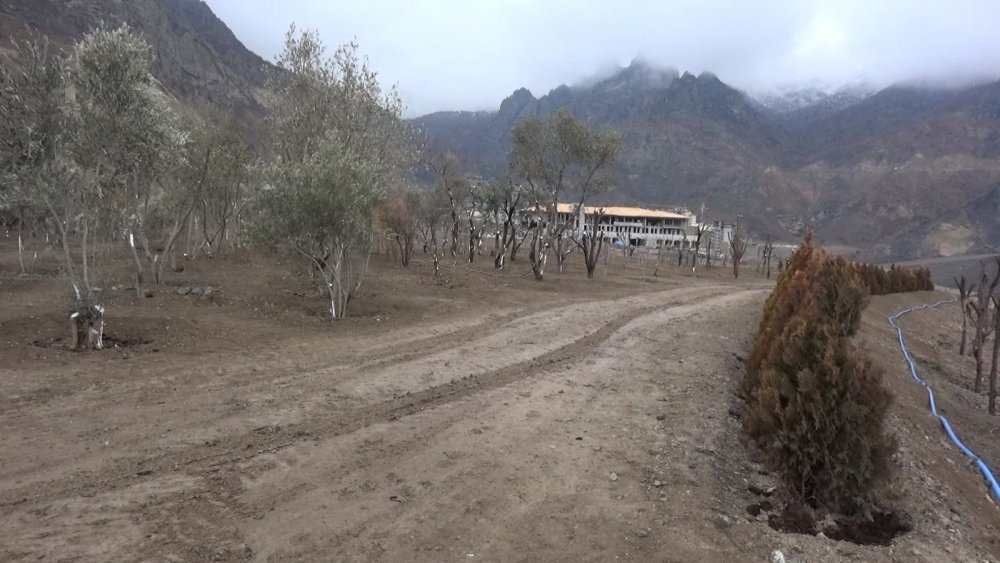 Su altında kalacak Yusufeli'nin yeni yerleşim yeri için ağaçlandırma seferberliği