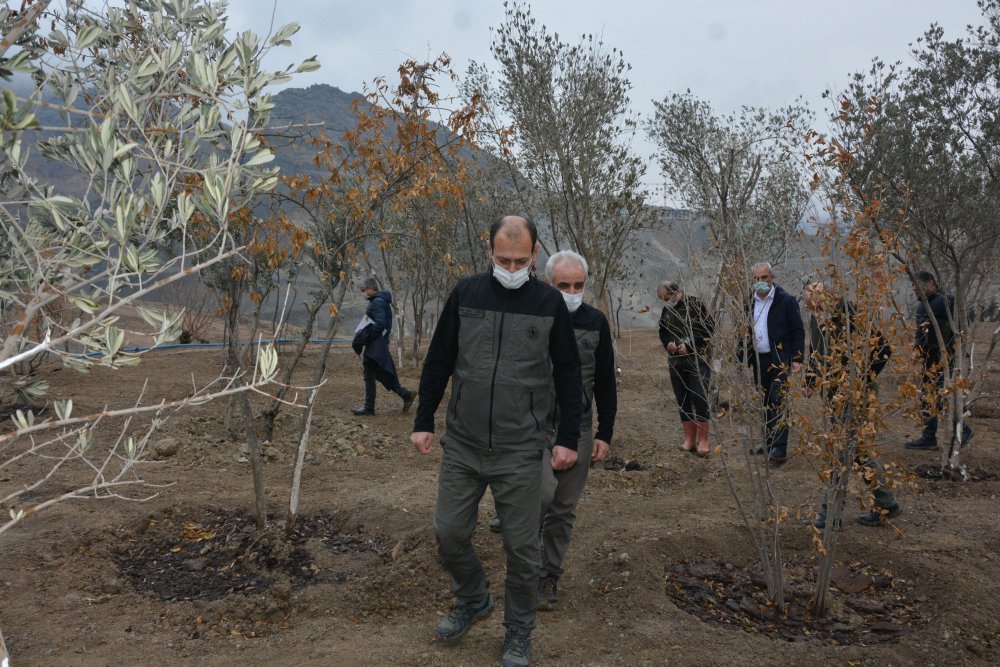 Su altında kalacak Yusufeli'nin yeni yerleşim yeri için ağaçlandırma seferberliği