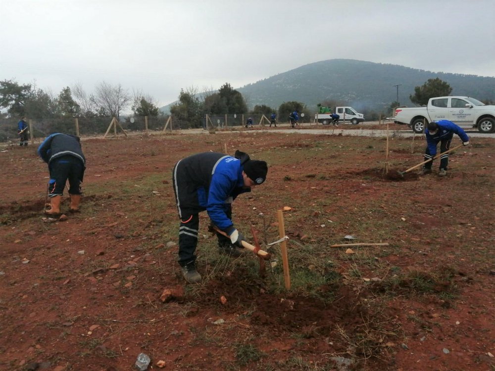 Muğla Büyükşehir'den 'Hortikültürel Terapi'