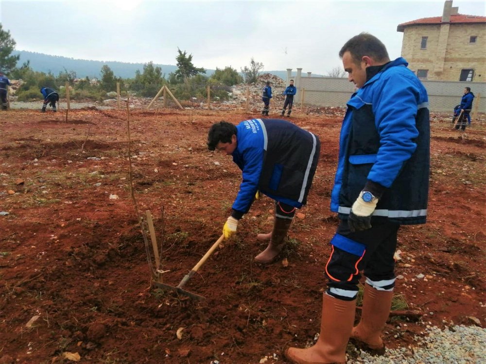 Muğla Büyükşehir'den 'Hortikültürel Terapi'