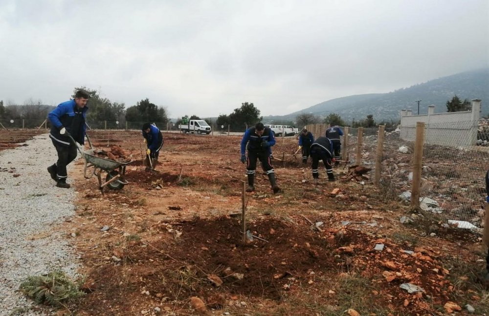 Muğla Büyükşehir'den 'Hortikültürel Terapi'