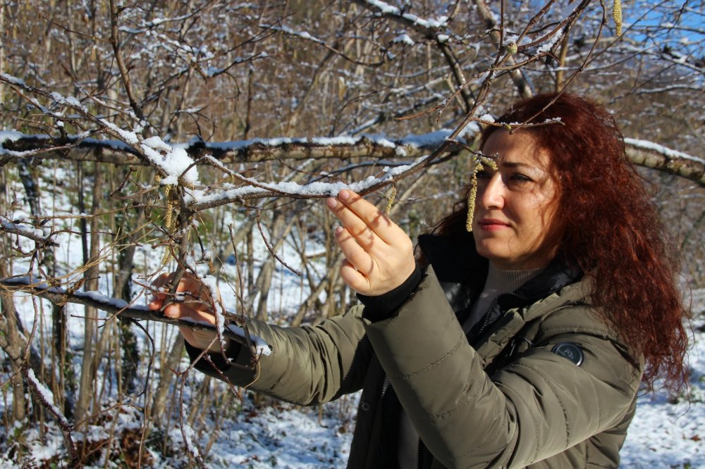 'Yağan kar, fındığın soğuklama ihtiyacını karşılayacak'