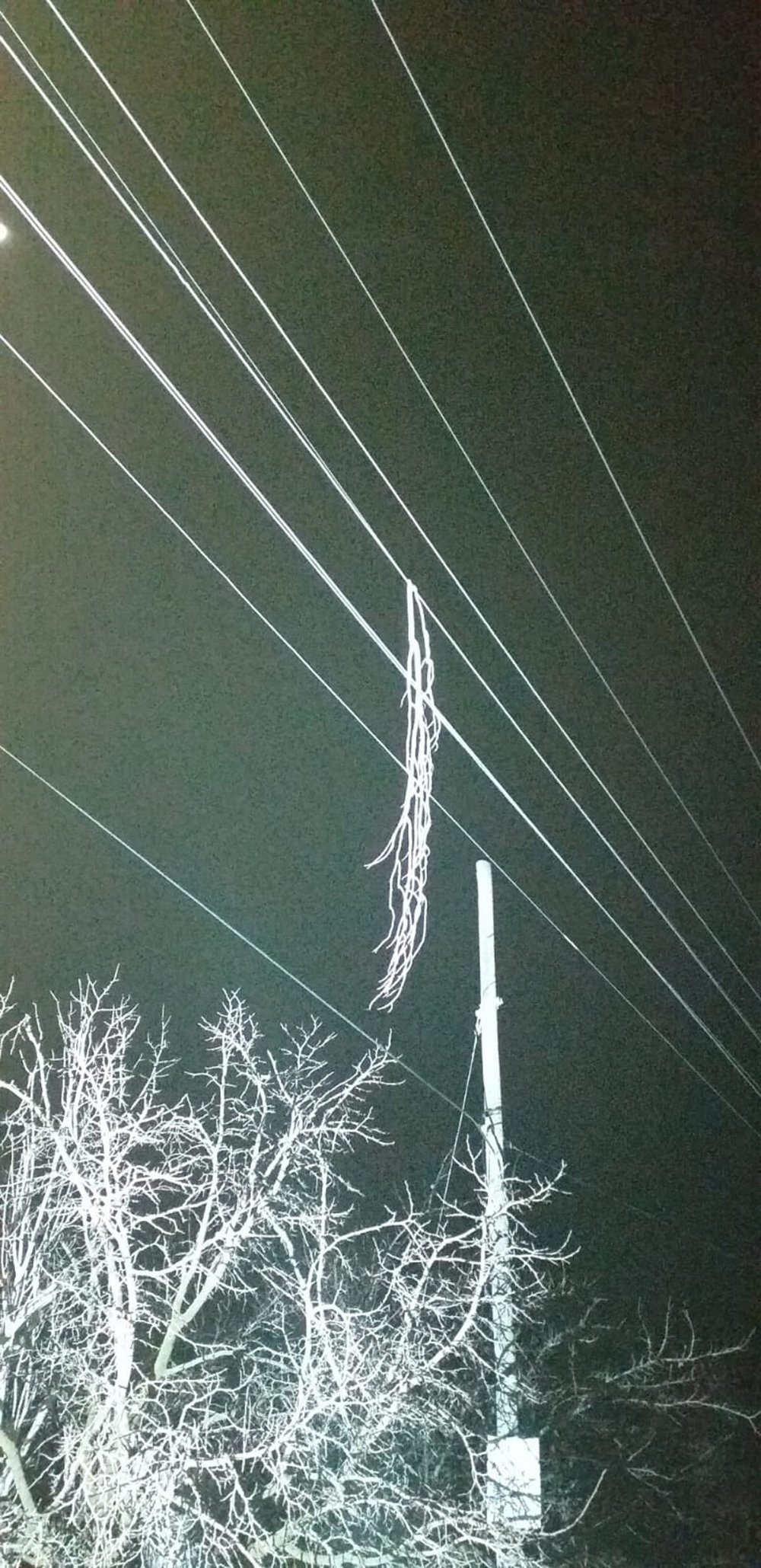 Elektrik akımına kapılıp hayatını kaybetti