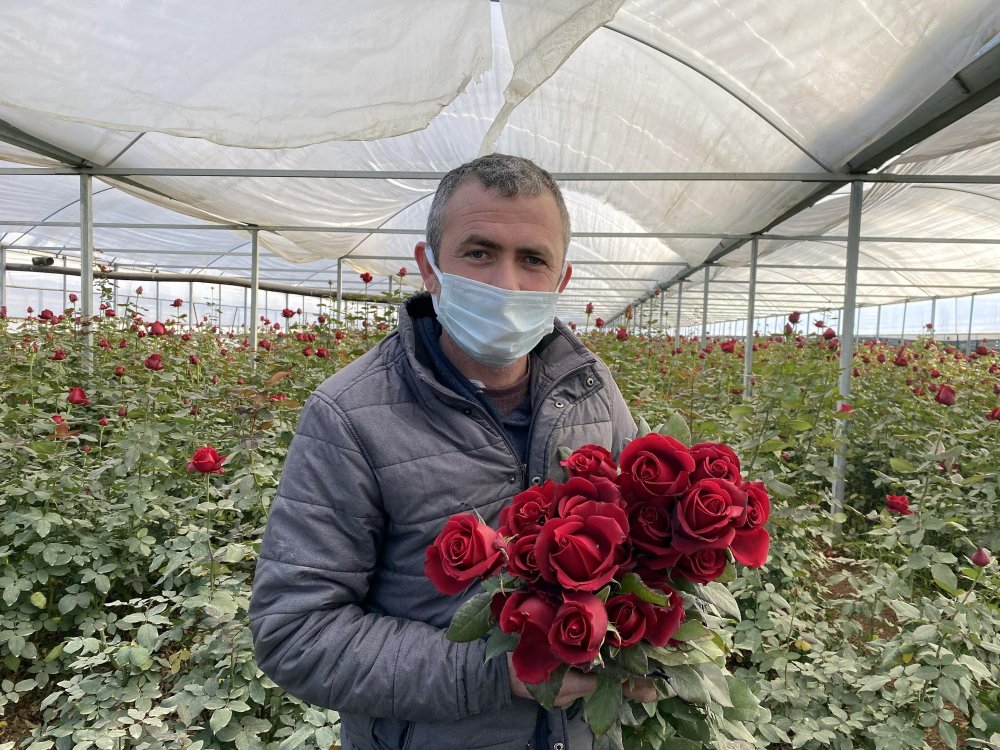 'Zirai Don' uyarısı geldi, gül seralarında sobalı nöbet başladı