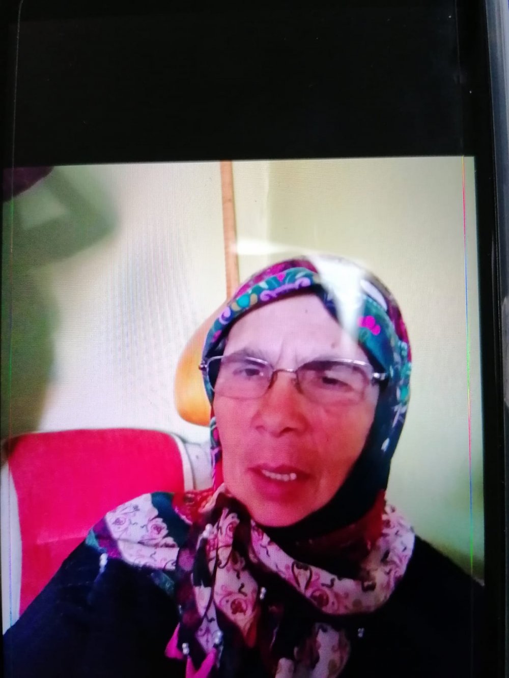 Anne-babasının boşanmasından sorumlu tuttuğu babaannesine kurşun yağdırdı 