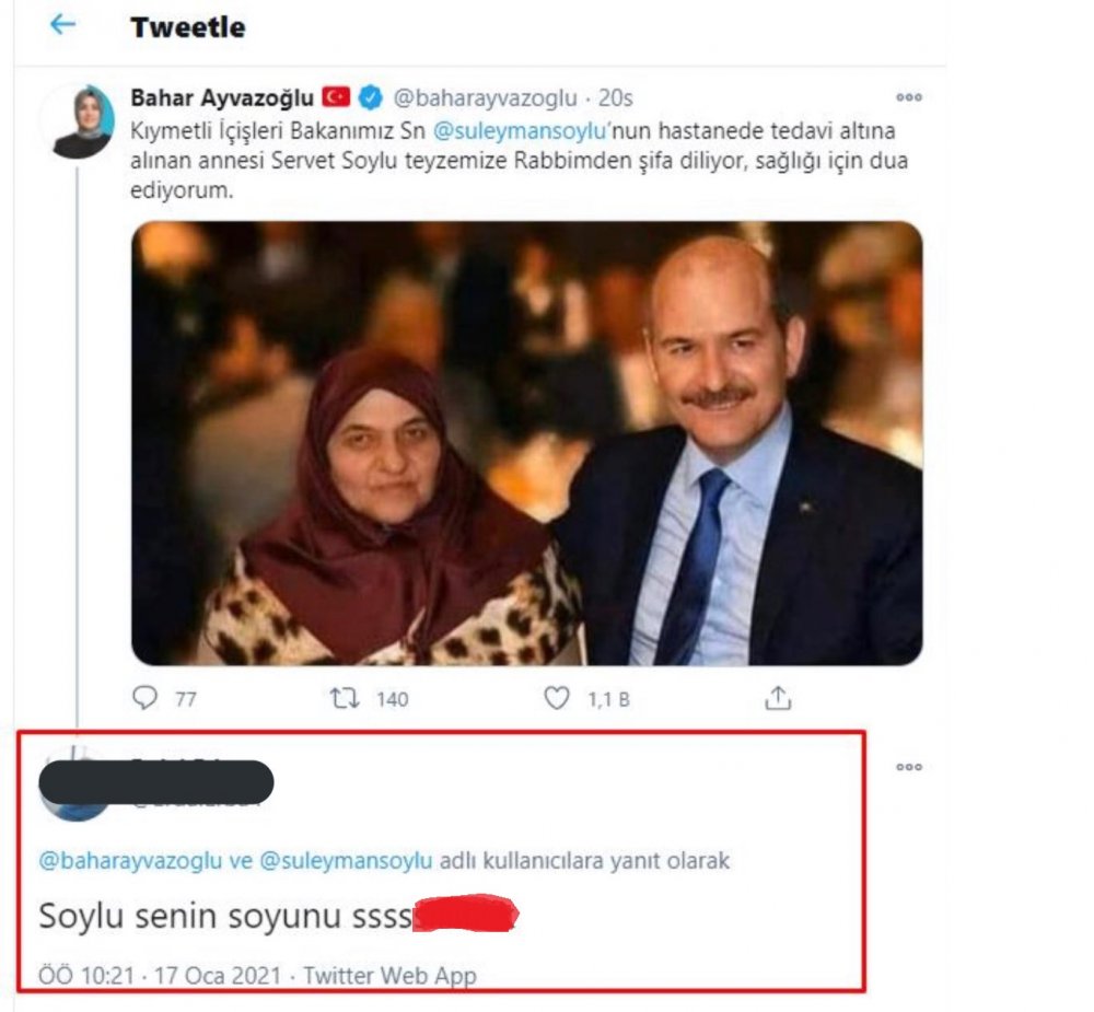 Bakan Soylu: Annemle fotomun altına küfreden alçak adli kontrolle serbest