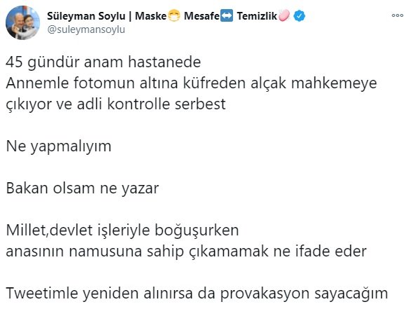 Bakan Soylu: Annemle fotomun altına küfreden alçak adli kontrolle serbest