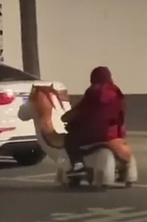 Çin’de 76 yaşındaki kadın scooter ile trafikte polise yakalandı