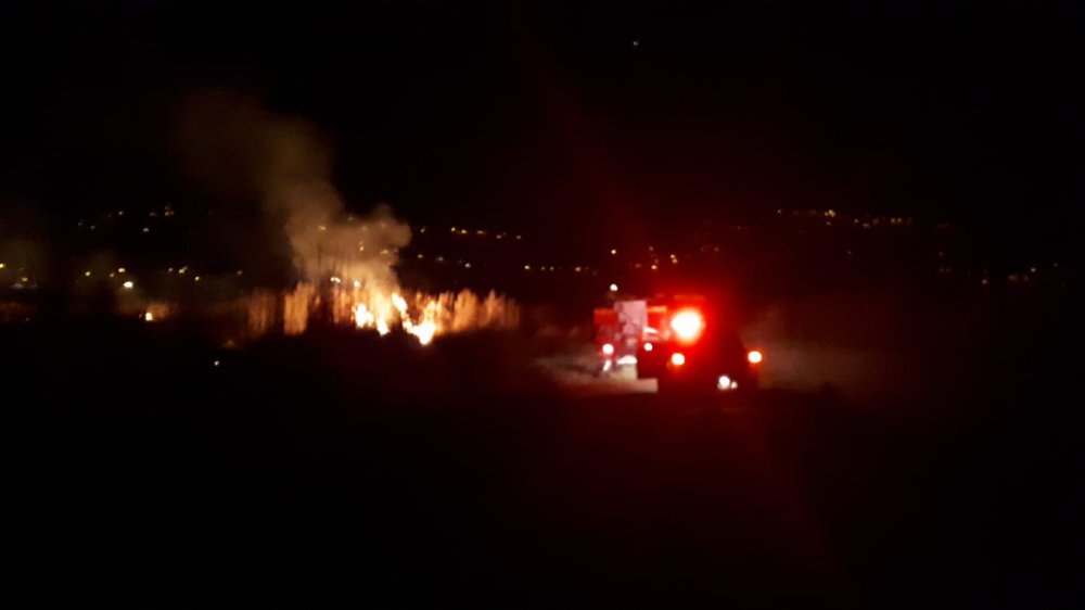 Muğla'da sazlık alanda çıkan yangında 28 dönümlük alan kül oldu