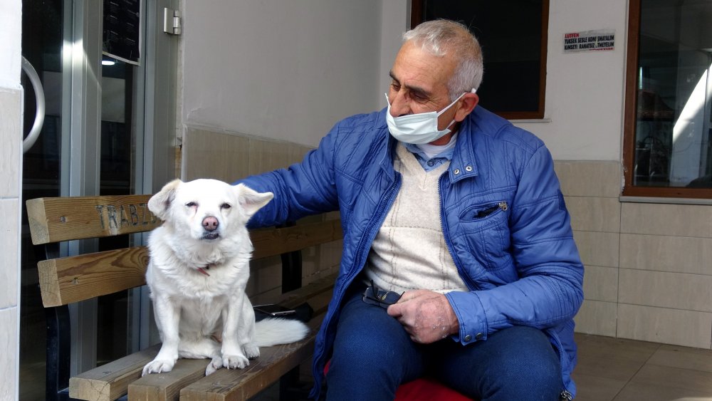 Dünya basınına manşet olan köpek, Trabzon'un 'Hachiko'su oldu