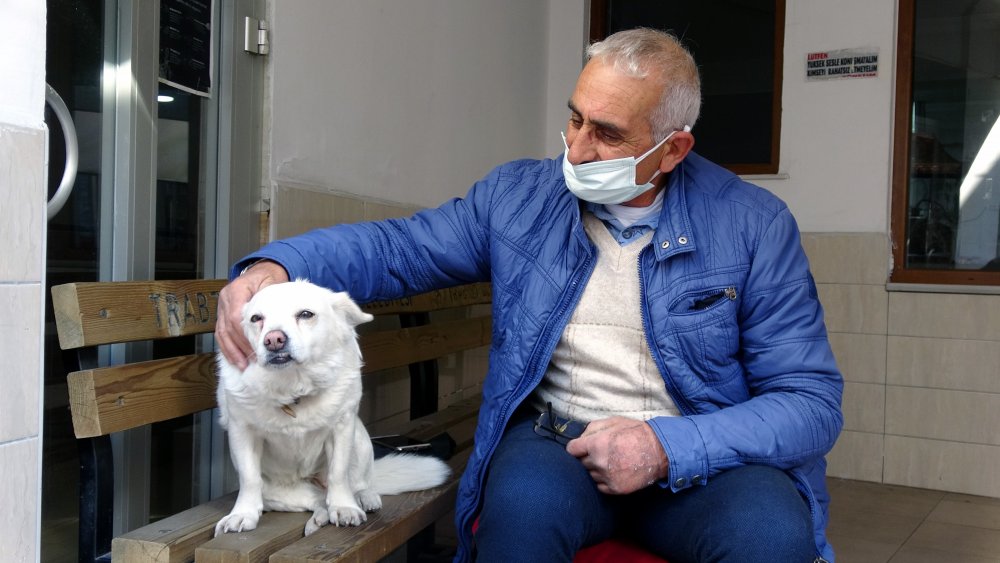 Dünya basınına manşet olan köpek, Trabzon'un 'Hachiko'su oldu