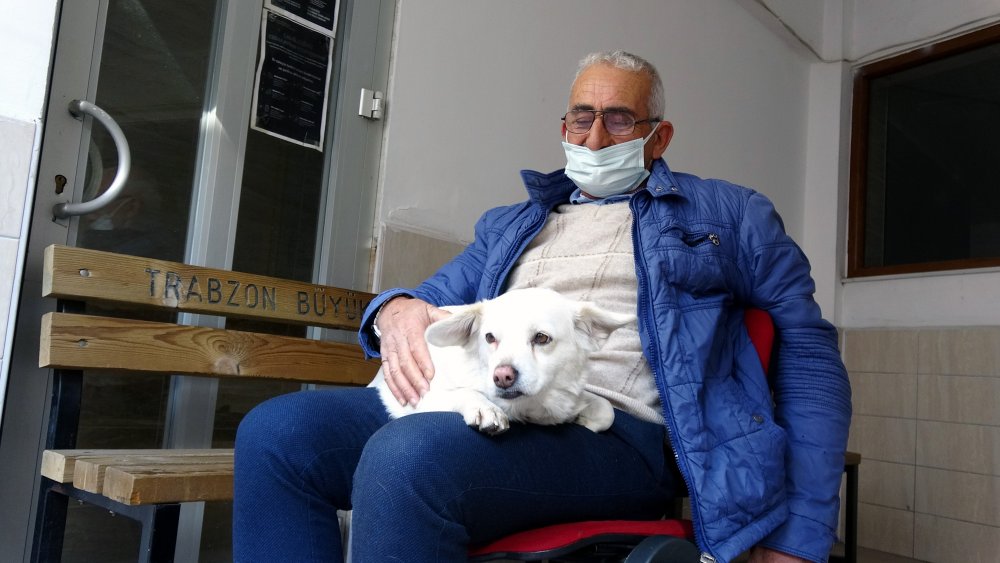 Dünya basınına manşet olan köpek, Trabzon'un 'Hachiko'su oldu