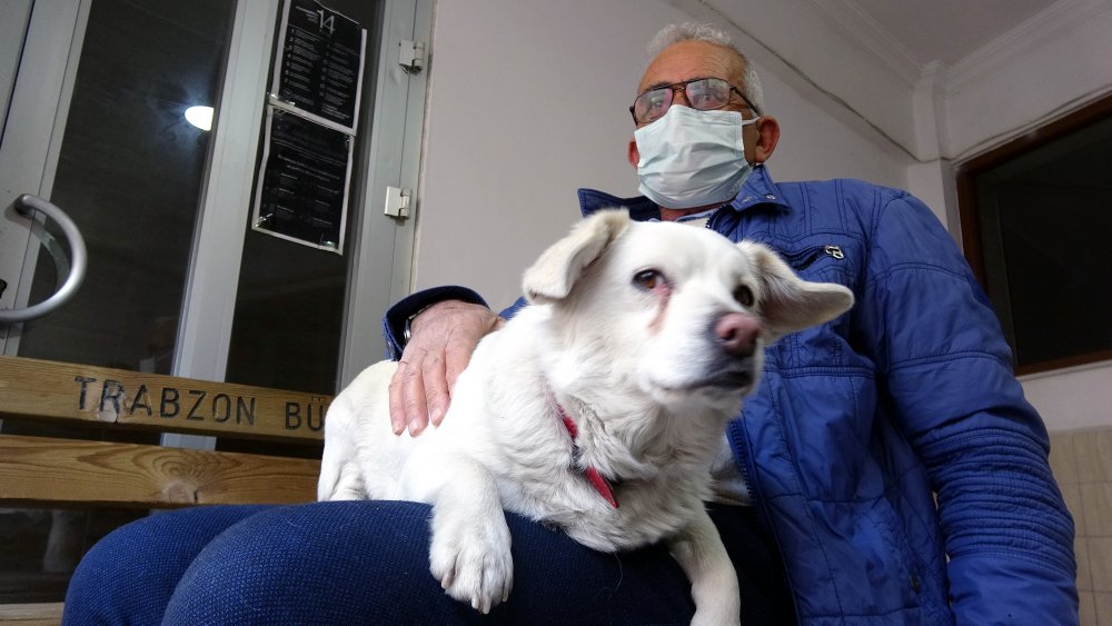 Dünya basınına manşet olan köpek, Trabzon'un 'Hachiko'su oldu
