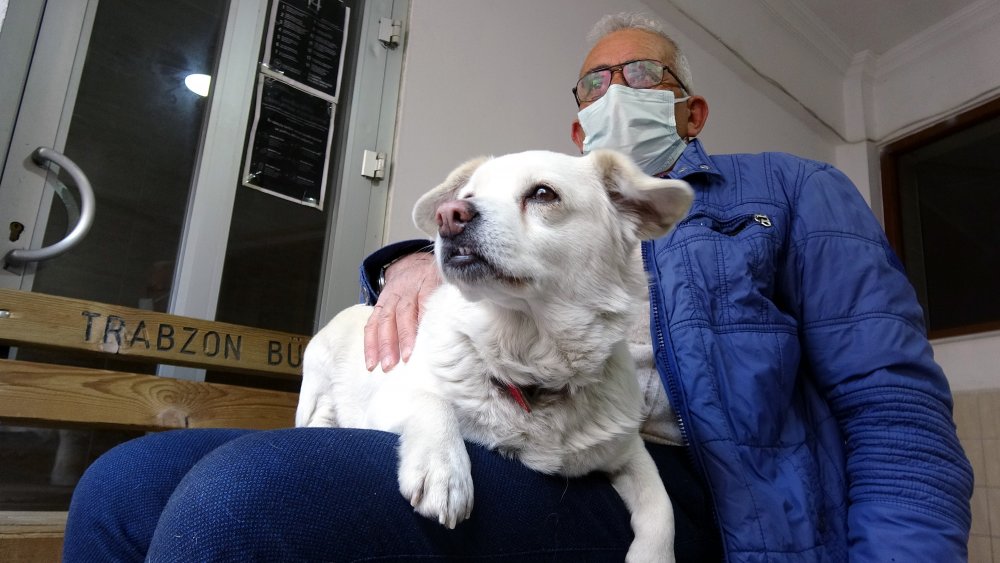 Dünya basınına manşet olan köpek, Trabzon'un 'Hachiko'su oldu