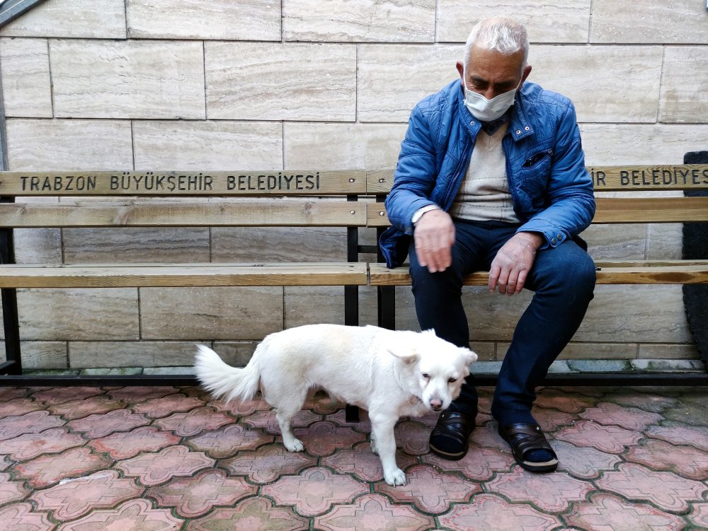 Dünya basınına manşet olan köpek, Trabzon'un 'Hachiko'su oldu
