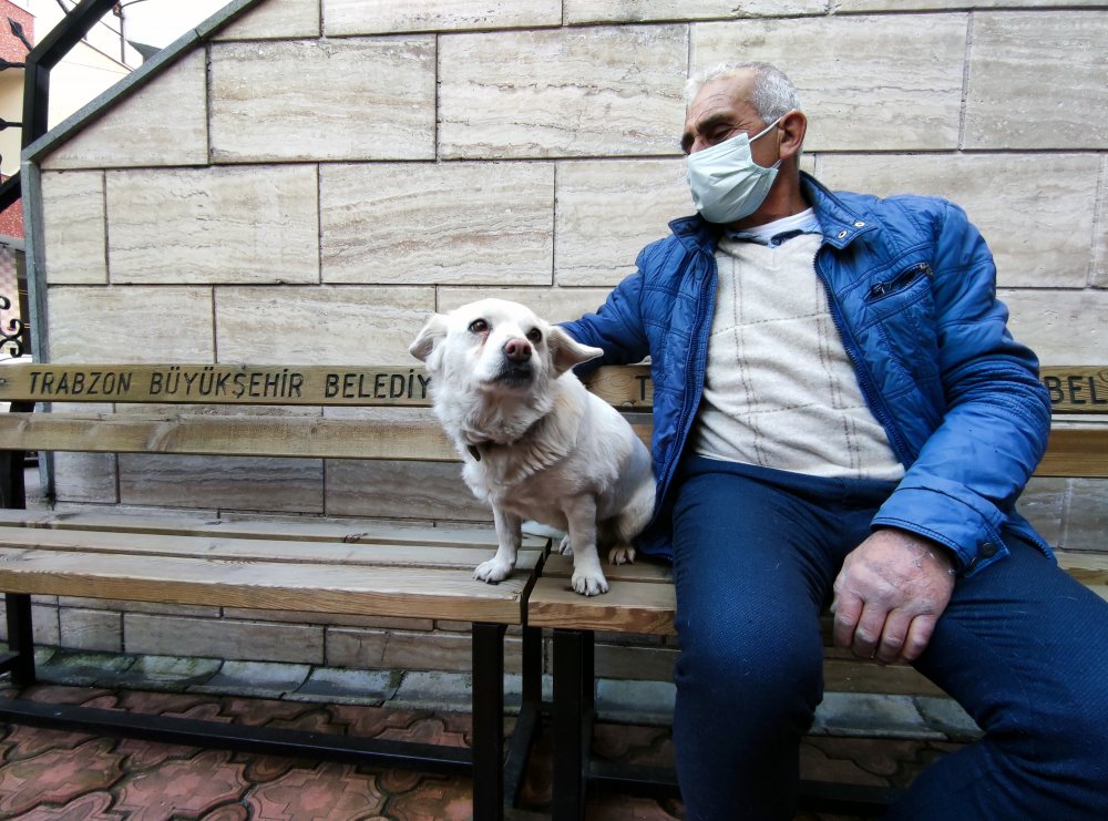 Dünya basınına manşet olan köpek, Trabzon'un 'Hachiko'su oldu