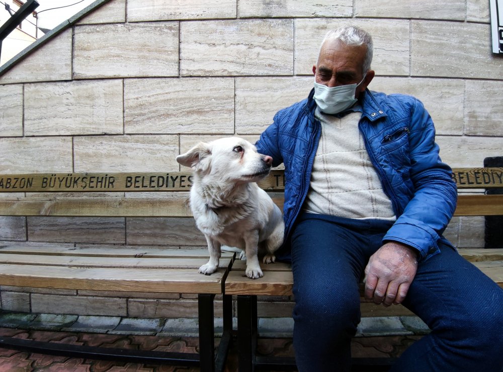Dünya basınına manşet olan köpek, Trabzon'un 'Hachiko'su oldu