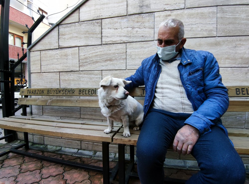 Dünya basınına manşet olan köpek, Trabzon'un 'Hachiko'su oldu