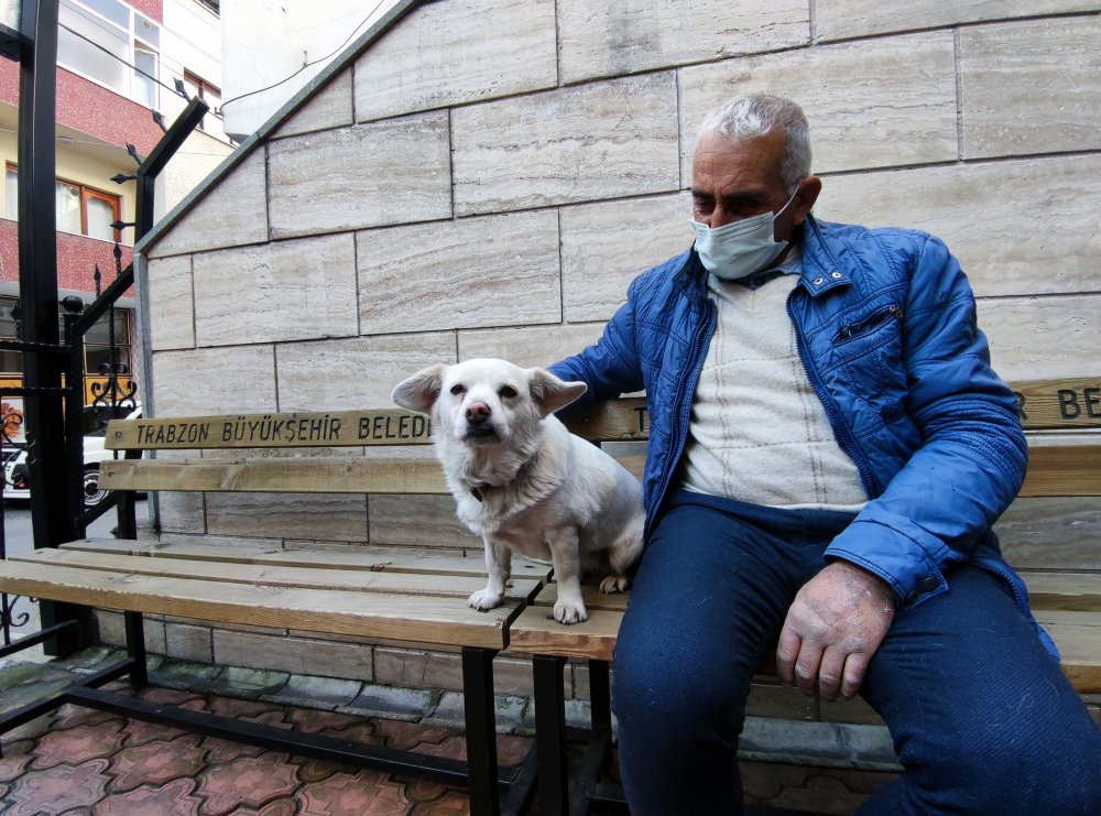 Dünya basınına manşet olan köpek, Trabzon'un 'Hachiko'su oldu