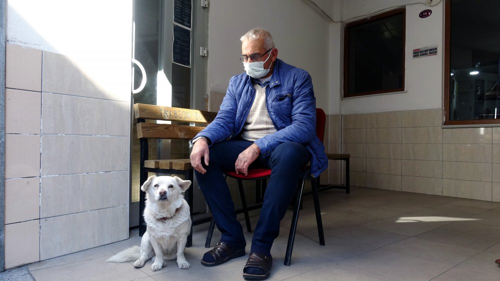 Dünya basınına manşet olan köpek, Trabzon'un 'Hachiko'su oldu
