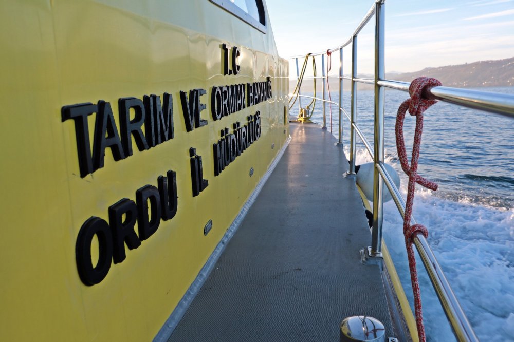 Karadeniz’de balık avcılığına sıkı denetim